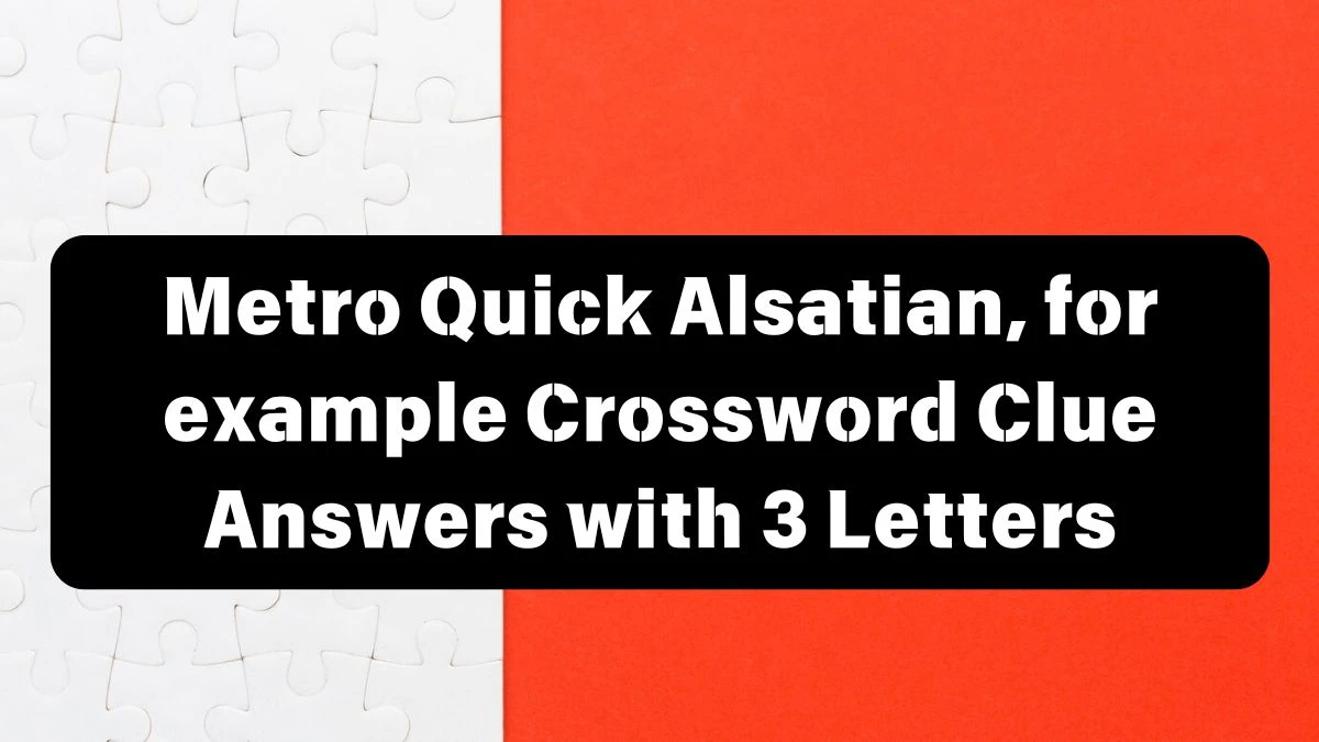 Metro Quick Alsatian, for example Crossword Clue Answers with 3 Letters