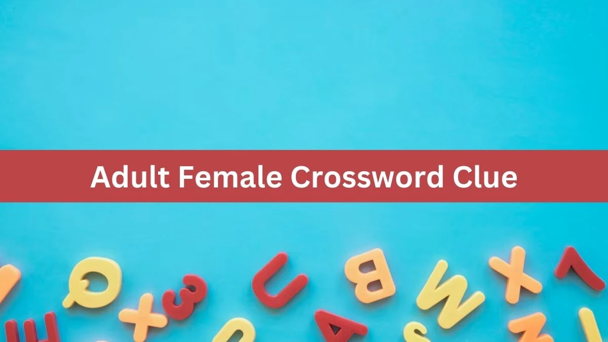 Metro Quick Adult Female Crossword Clue Answers with 5 Letters