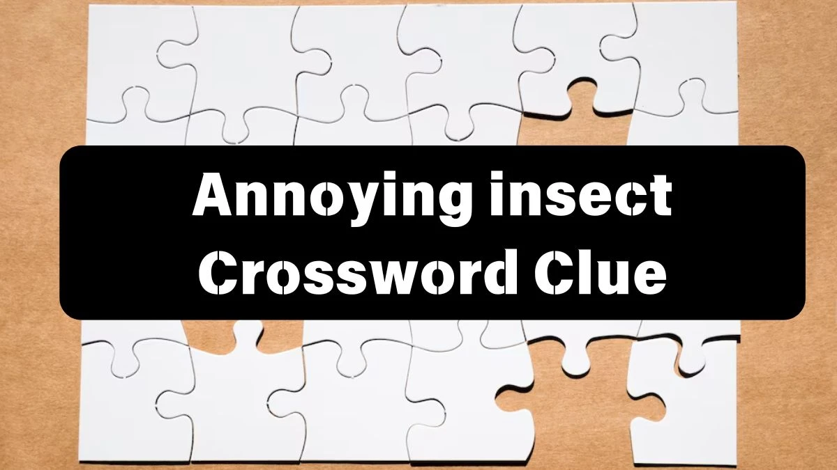 Daily Telegraph Plusword Annoying insect Crossword Clue Answers with 4 Letters