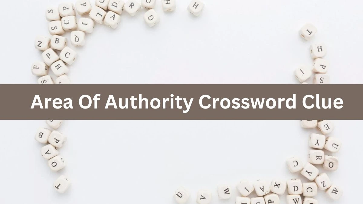 Mirror Quick Area Of Authority Crossword Clue Answers with 5 Letters