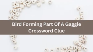 Daily Telegraph Plusword Bird Forming Part Of A Gaggle Crossword Clue Answers with 5 Letters