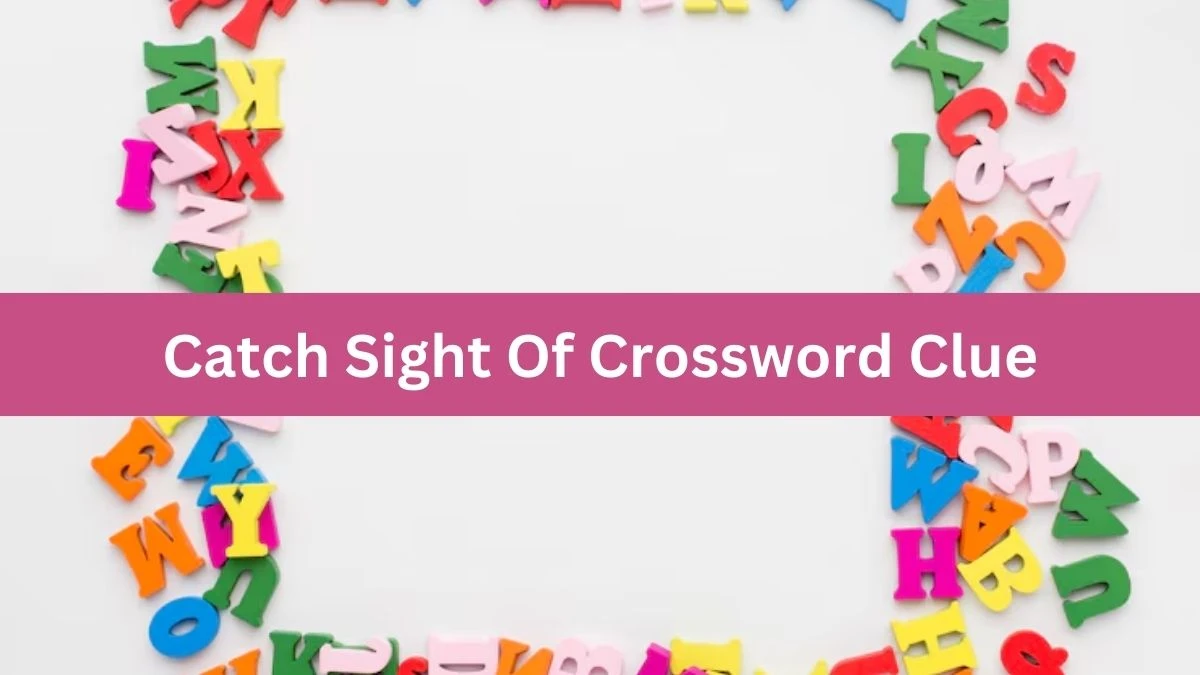 Mirror Quick Catch Sight Of Crossword Clue Answers with 4 Letters