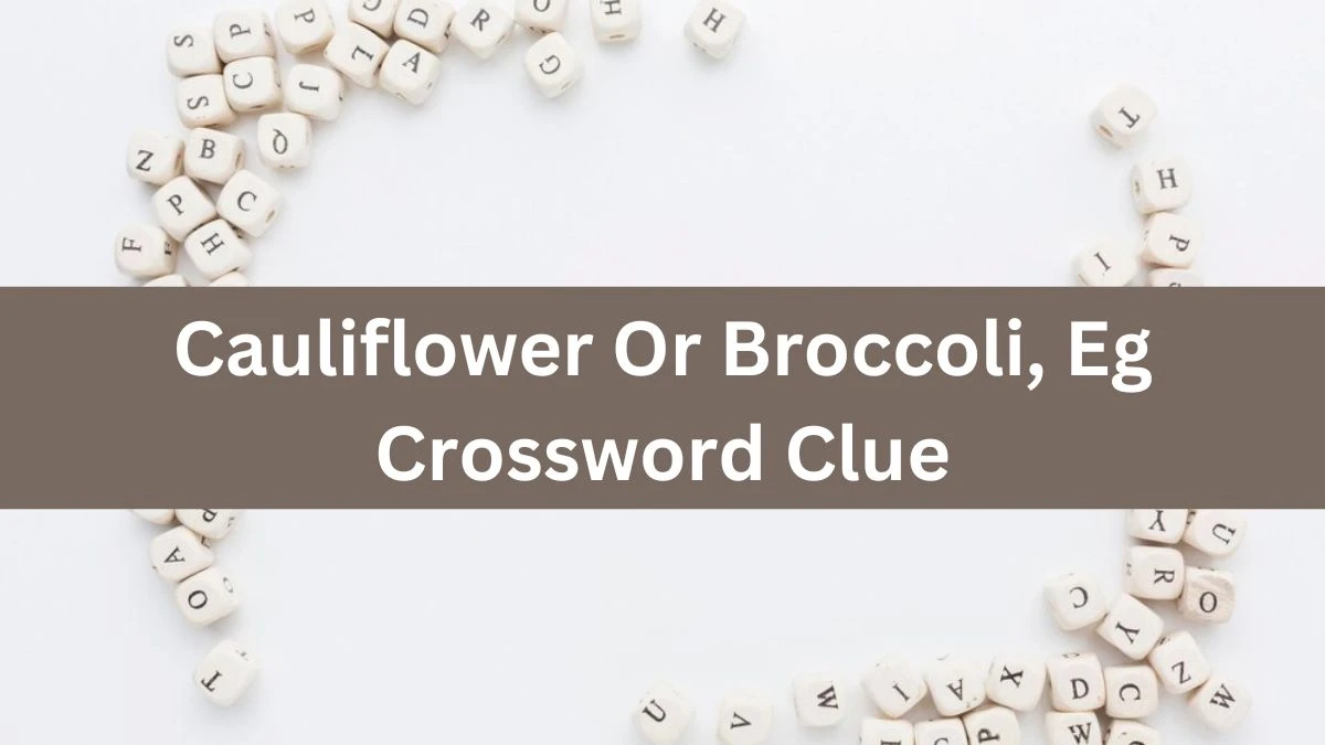 The Times Concise Cauliflower Or Broccoli, Eg Crossword Clue Answers with 8 Letters