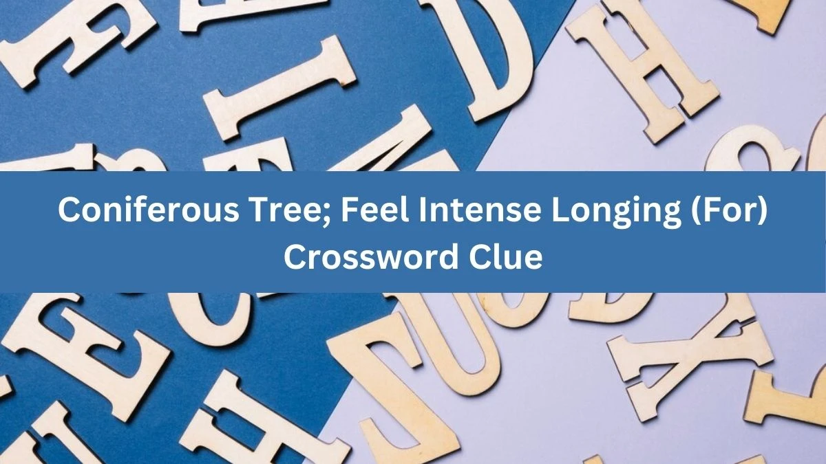 The Times Concise Coniferous Tree; Feel Intense Longing (For) Crossword Clue Answers with 4 Letters