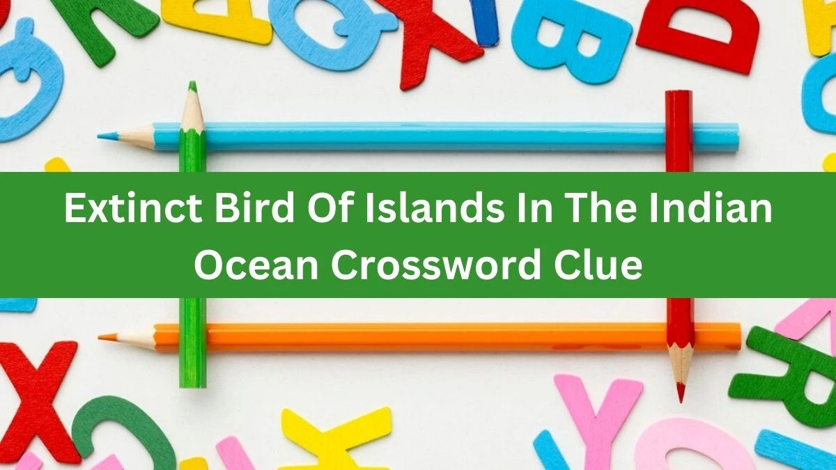 The Times Concise Extinct Bird Of Islands In The Indian Ocean Crossword Clue Answers with 4 Letters