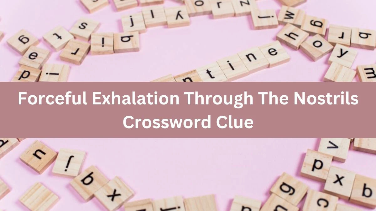 The Times Concise Forceful Exhalation Through The Nostrils Crossword Clue Answers with 5 Letters