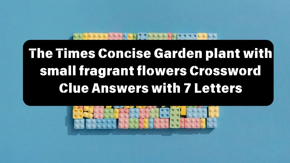 The Times Concise Garden plant with small fragrant flowers Crossword Clue Answers with 7 Letters