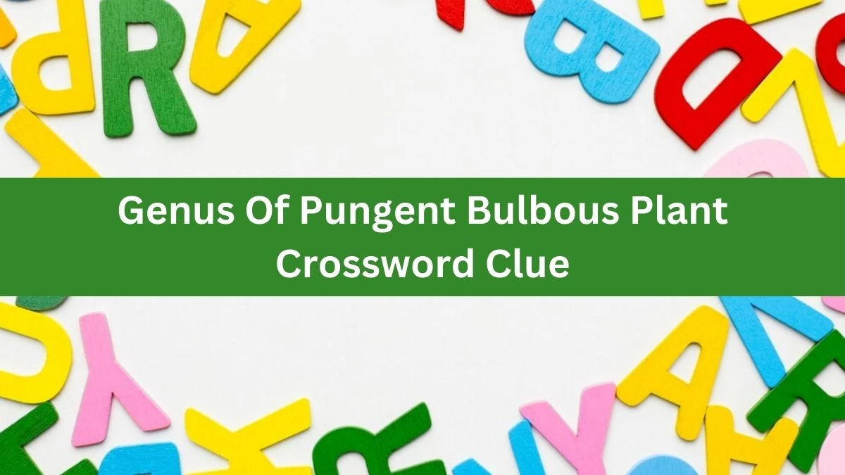 The Sun Mini Genus Of Pungent Bulbous Plant Crossword Clue Answers with 6 Letters