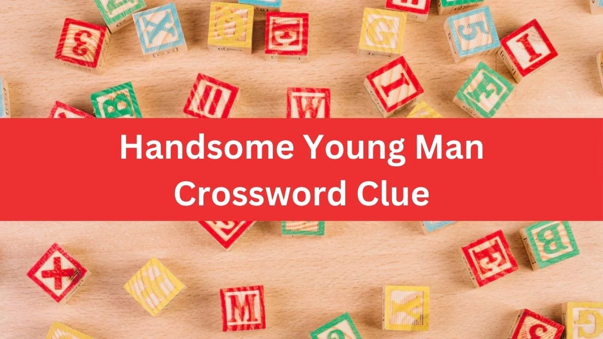 Metro Quick Handsome Young Man Crossword Clue Answers with 6 Letters