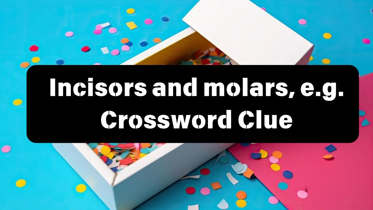 Daily Telegraph Plusword Incisors and molars, e.g. Crossword Clue Answers with 5 Letters