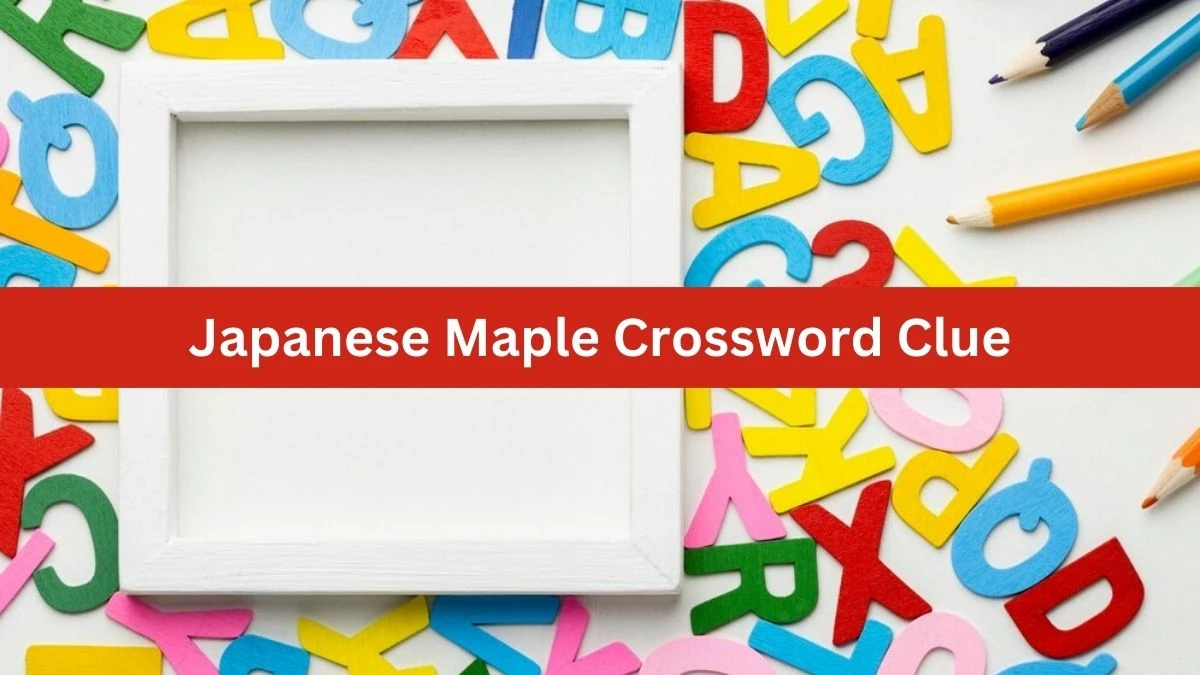 Mirror Quick Japanese Maple Crossword Clue Answers with 4 Letters