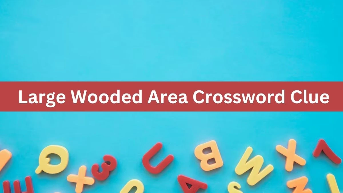 Metro Quick Large Wooded Area Crossword Clue Answers with 6 Letters