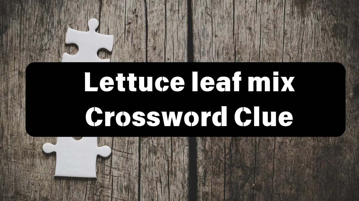 Mirror Quick Lettuce leaf mix Crossword Clue Answers with 5 Letters