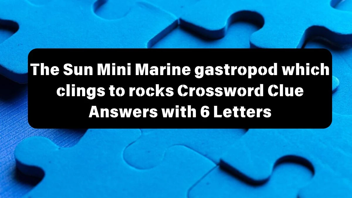 The Sun Mini Marine gastropod which clings to rocks Crossword Clue Answers with 6 Letters