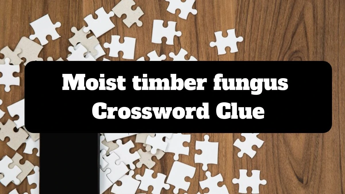 The Sun Mini Moist timber fungus Crossword Clue Answers with 6 Letters