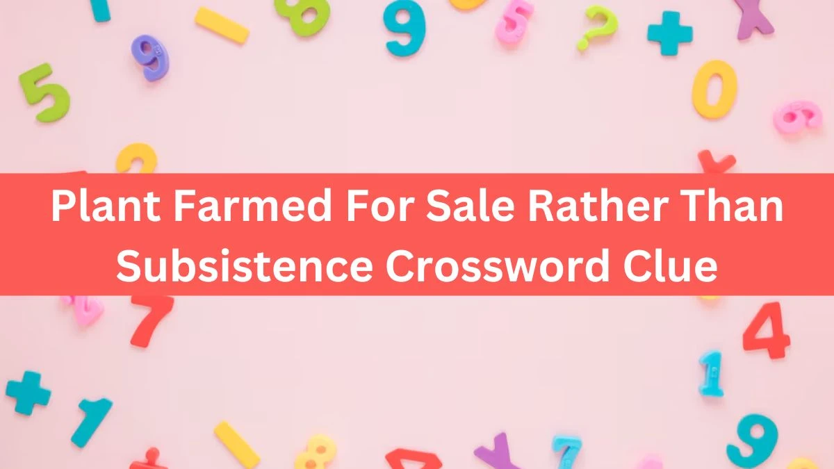 The Times Concise Plant Farmed For Sale Rather Than Subsistence Crossword Clue Answers with 8 Letters