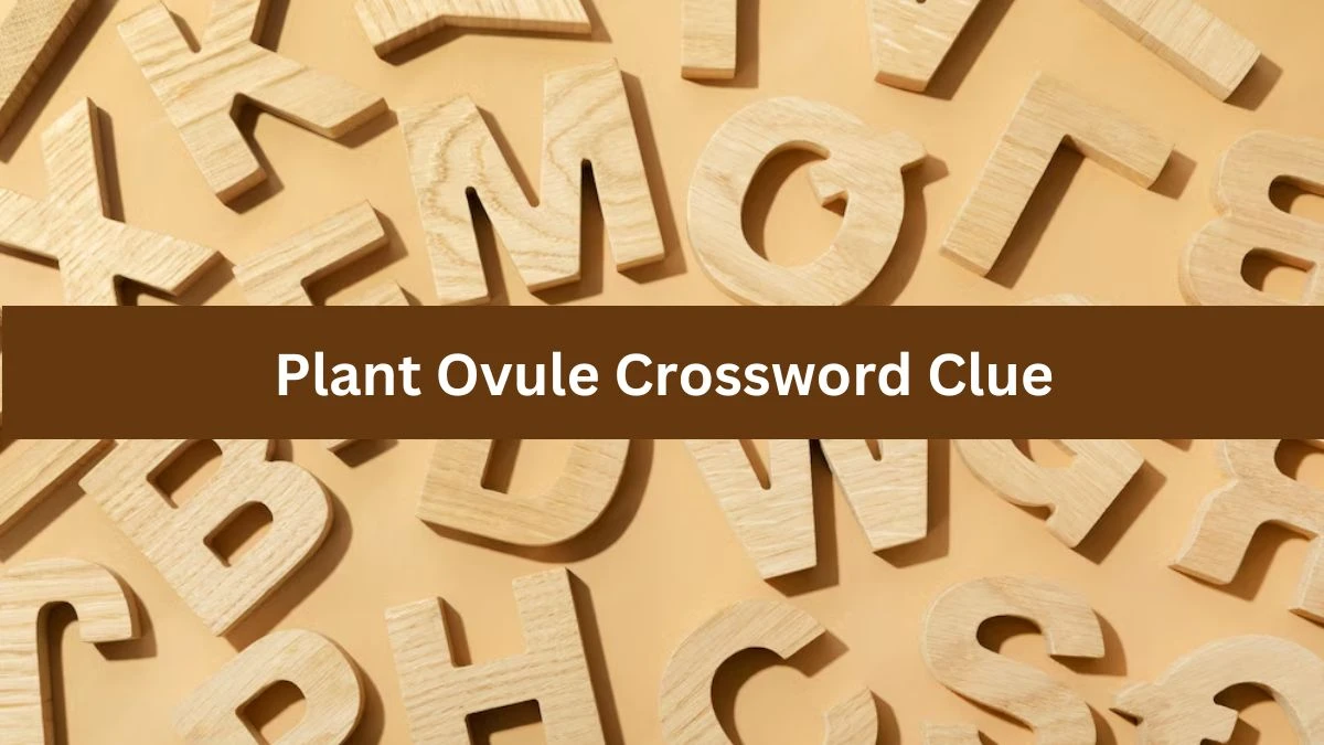 Mirror Quick Plant Ovule Crossword Clue Answers with 4 Letters