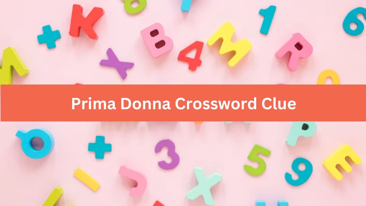 Mirror Quick Prima Donna Crossword Clue Answers with 4 Letters