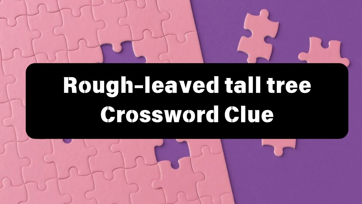 The Sun Mini Rough-leaved tall tree Crossword Clue Answers with 3 Letters