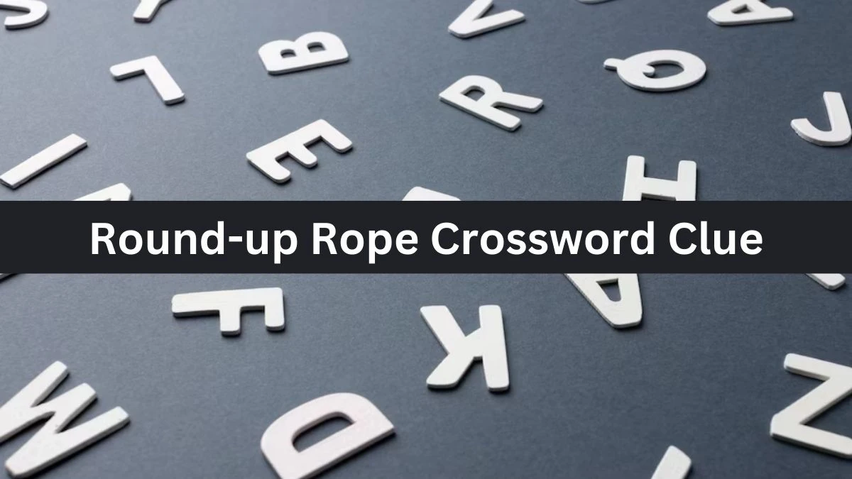 Metro Quick Round-up Rope Crossword Clue Answers with 5 Letters