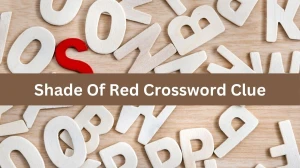 Mirror Quick Shade Of Red Crossword Clue Answers with 6 Letters