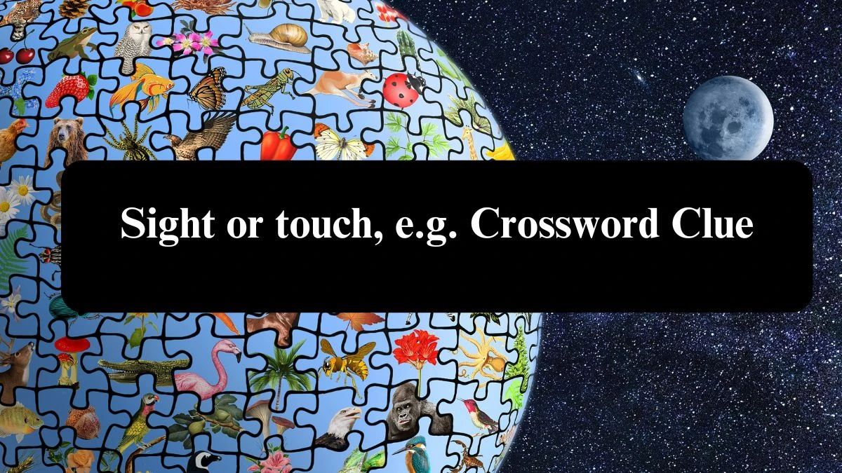 Daily Telegraph Plusword Sight or touch, e.g. Crossword Clue Answers with 5 Letters