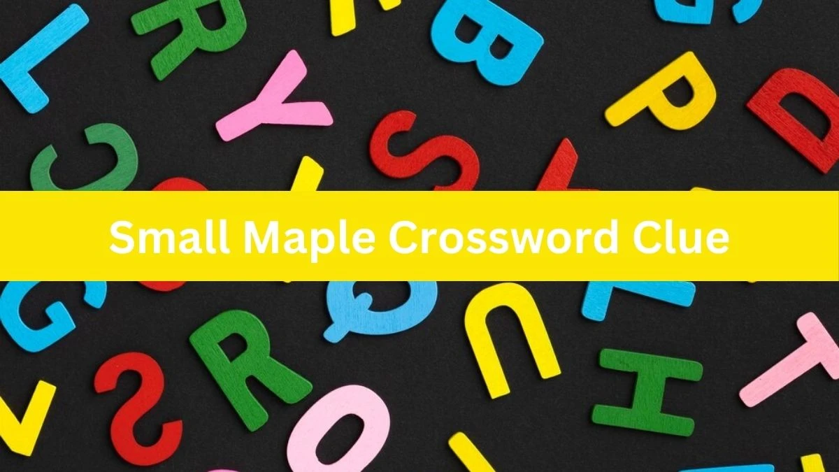 Mirror Quick Small Maple Crossword Clue Answers with 4 Letters