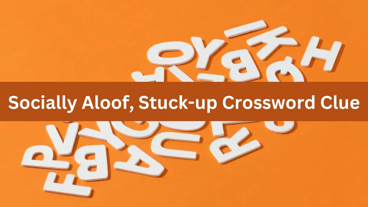 The Times Concise Socially Aloof, Stuck-up Crossword Clue Answers with 8 Letters