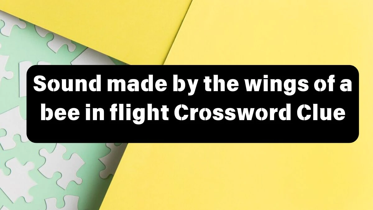 The Times Concise Sound made by the wings of a bee in flight Crossword Clue Answers with 4 Letters