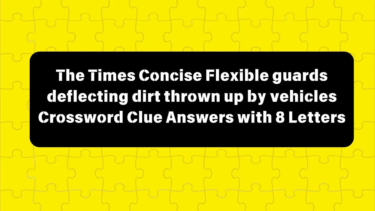 The Times Concise Flexible guards deflecting dirt thrown up by vehicles Crossword Clue Answers with 8 Letters