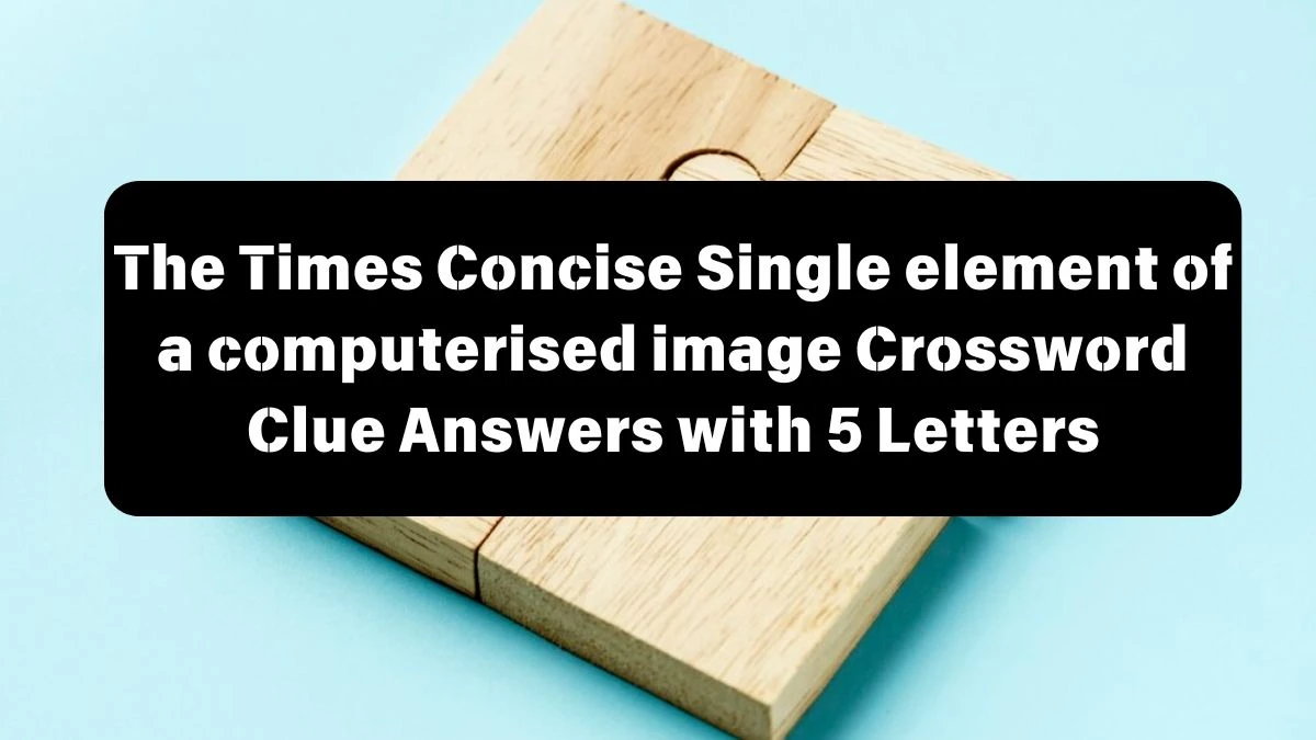 The Times Concise Single element of a computerised image Crossword Clue Answers with 5 Letters