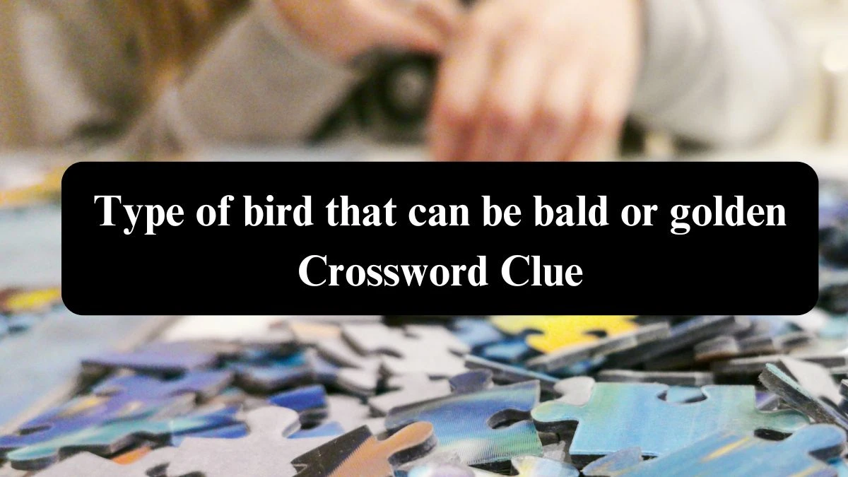 Daily Telegraph Plusword Type of bird that can be bald or golden Crossword Clue Answers with 5 Letters