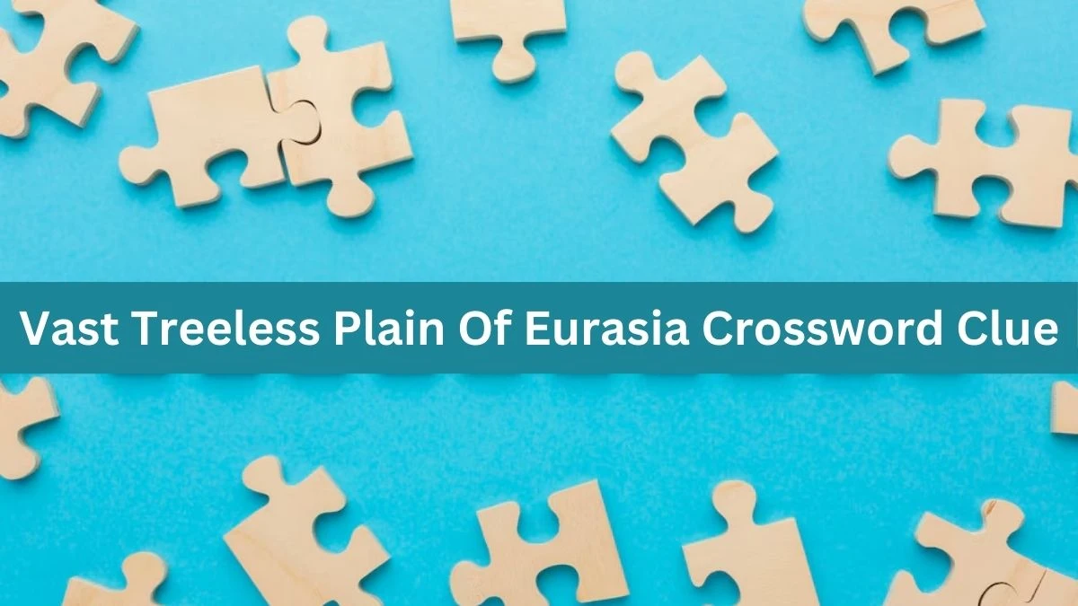 The Times Concise Vast Treeless Plain Of Eurasia Crossword Clue Answers with 6 Letters