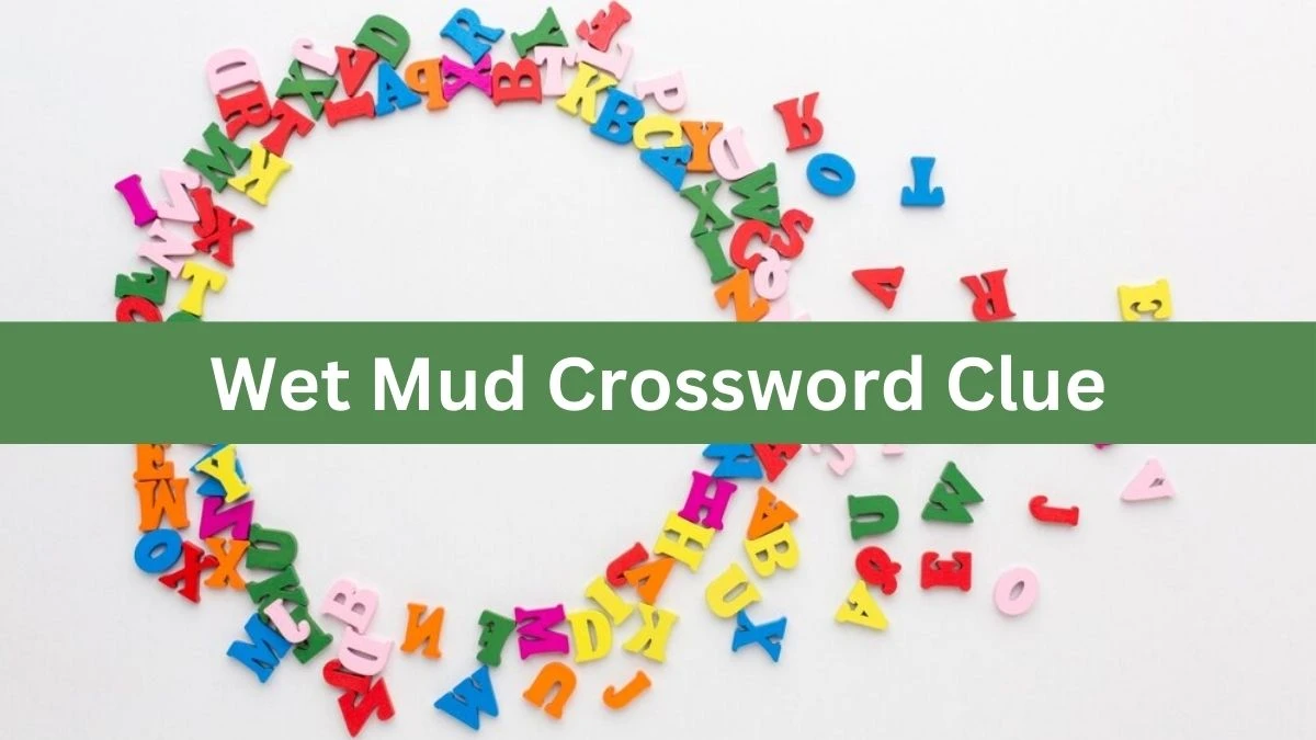 Mirror Quick Wet Mud Crossword Clue Answers with 5 Letters