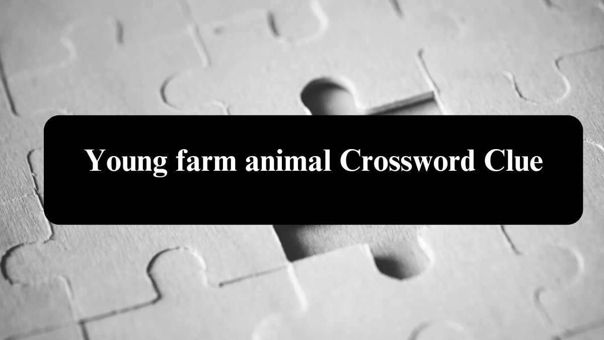 The Sun Mini Young farm animal Crossword Clue Answers with 4 Letters