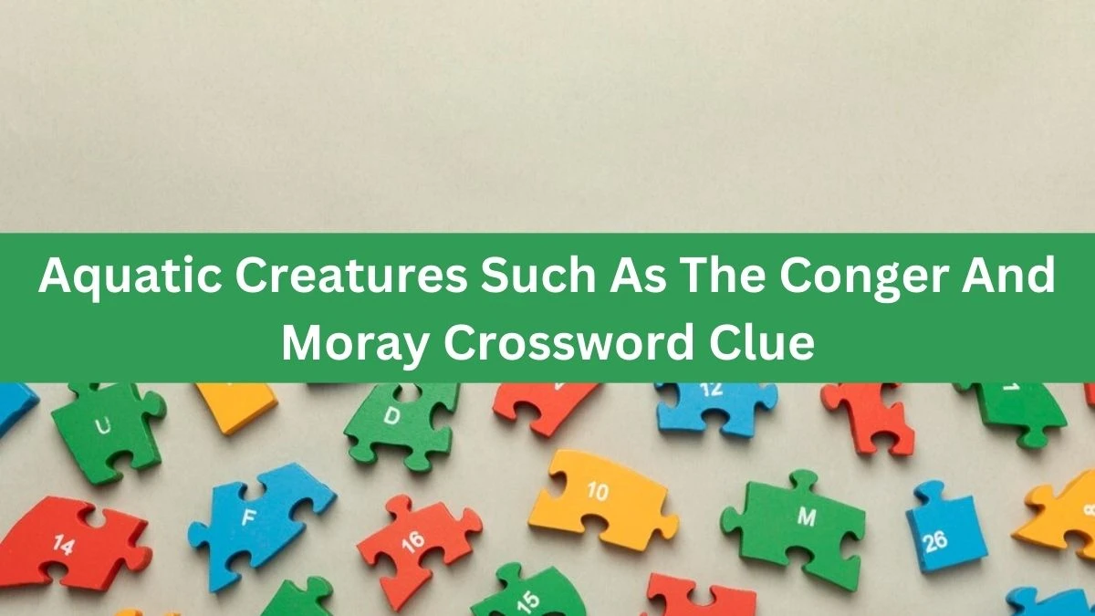 The Times Concise Aquatic Creatures Such As The Conger And Moray Crossword Clue Answers with 4 Letters