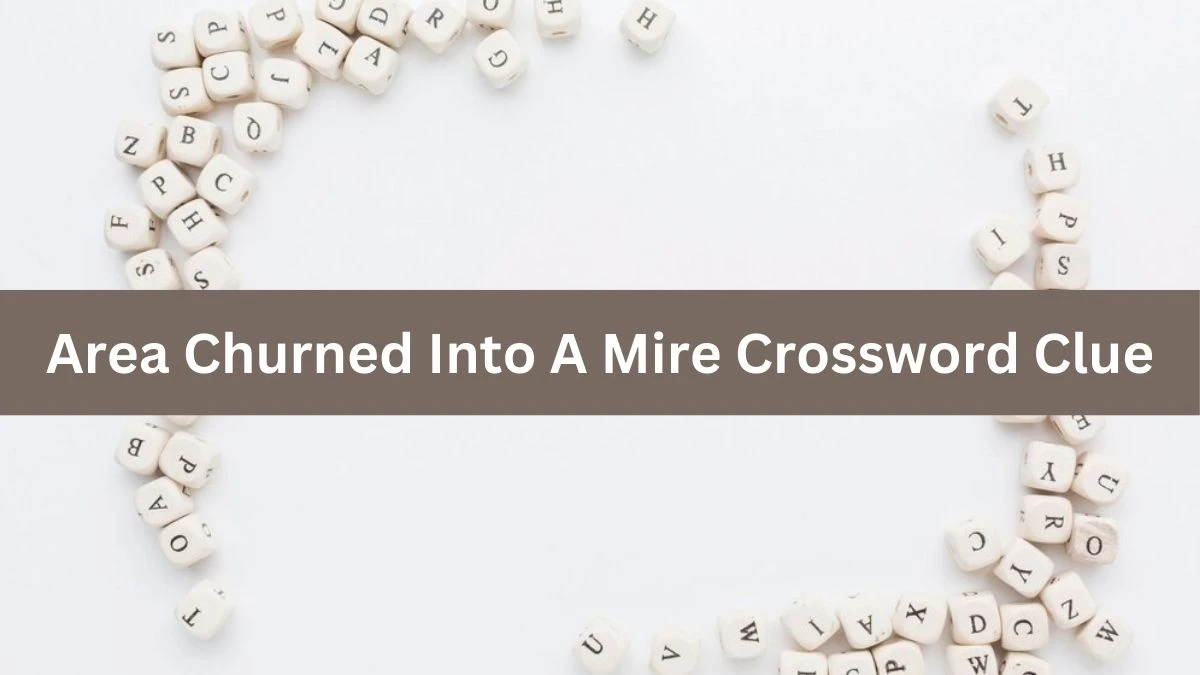 The Times Concise Area Churned Into A Mire Crossword Clue Answers with 7 Letters