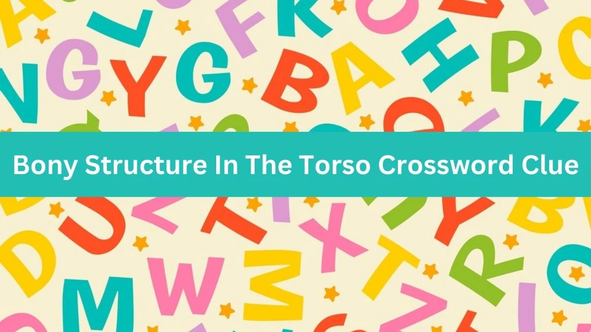 The Times Concise Bony Structure In The Torso Crossword Clue Answers with 7 Letters