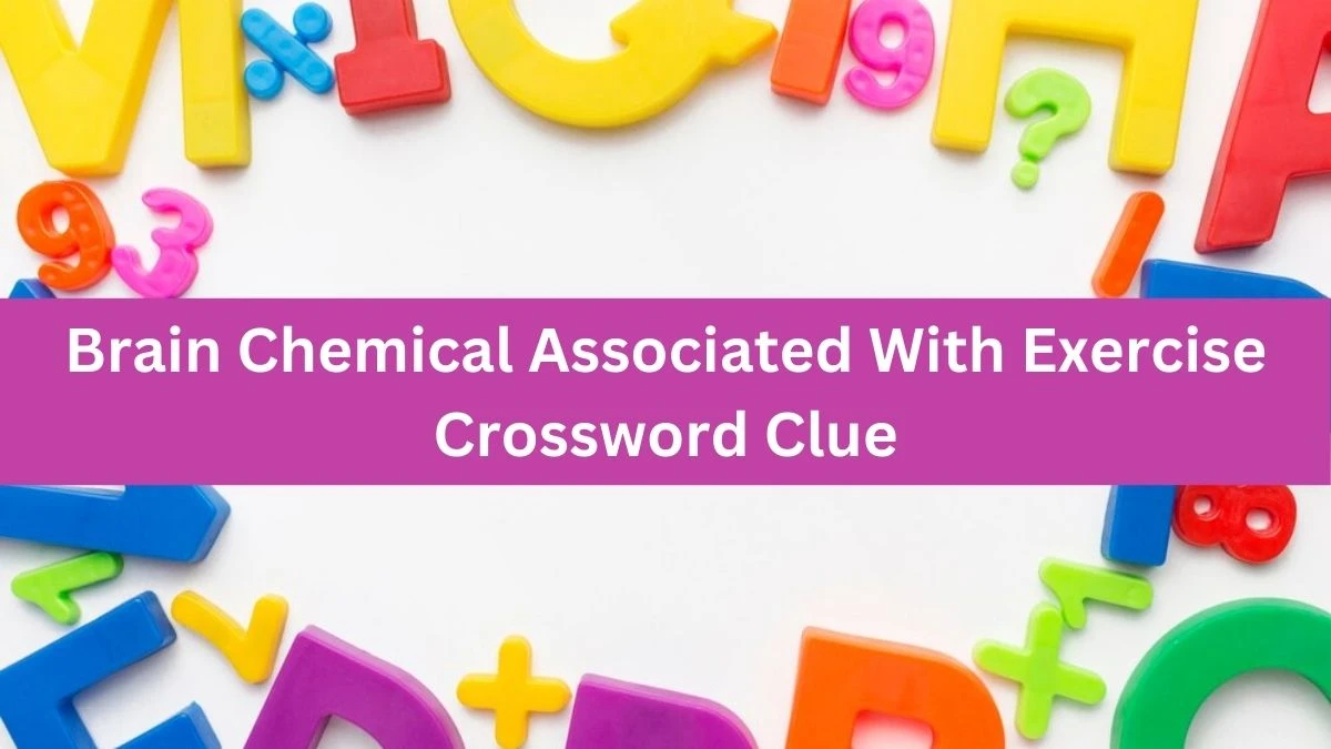 The Times Concise Brain Chemical Associated With Exercise Crossword Clue Answers with 9 Letters