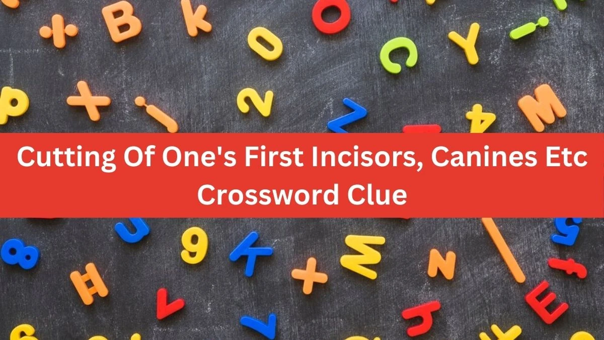 The Times Concise Cutting Of One's First Incisors, Canines Etc Crossword Clue Answers with 8 Letters