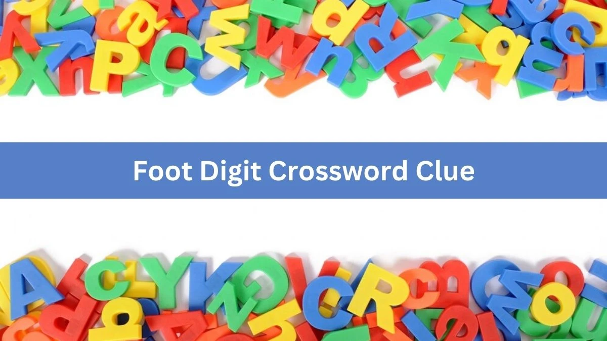 Metro Quick Foot Digit Crossword Clue Answers with 3 Letters