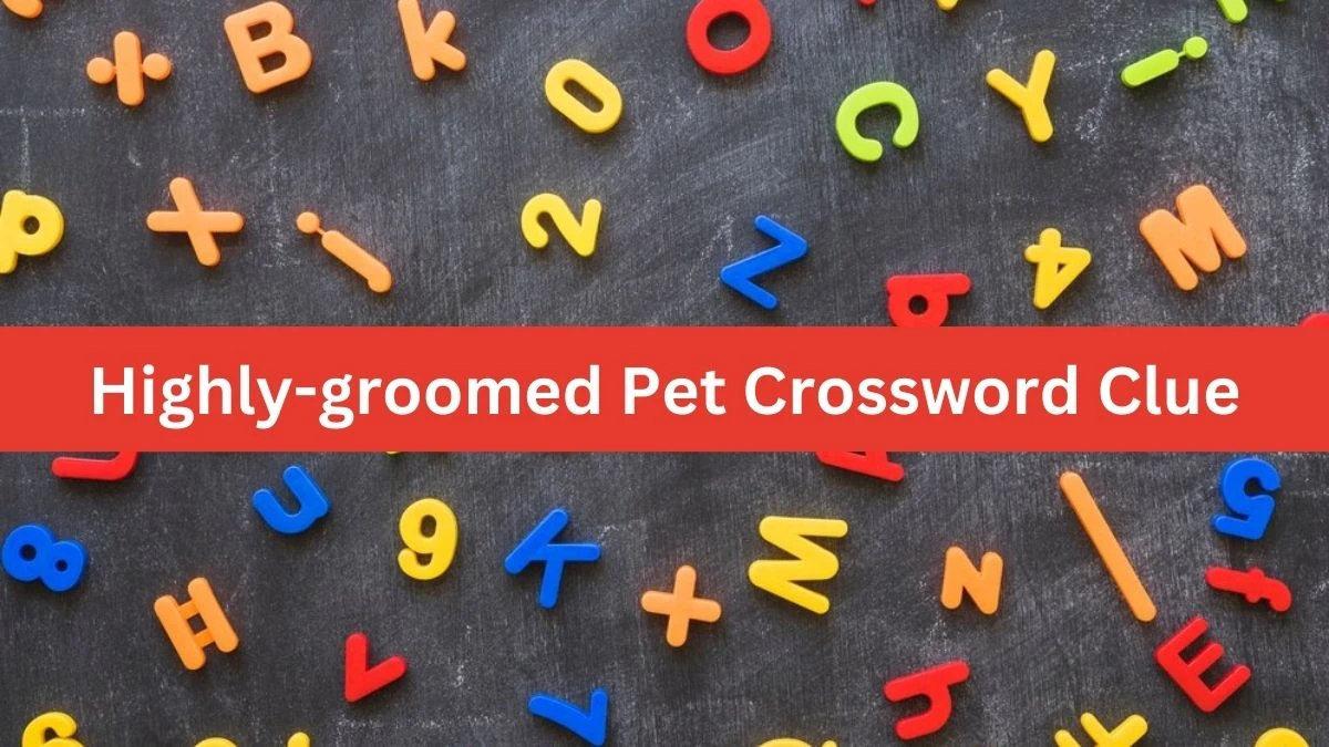 Mirror Quick Highly-groomed Pet Crossword Clue Answers with 6 Letters