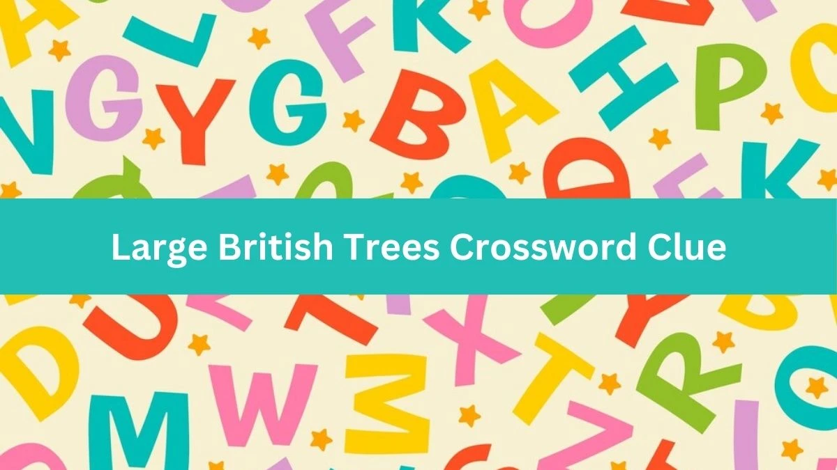 The Sun Mini Large British Trees Crossword Clue Answers with 4 Letters