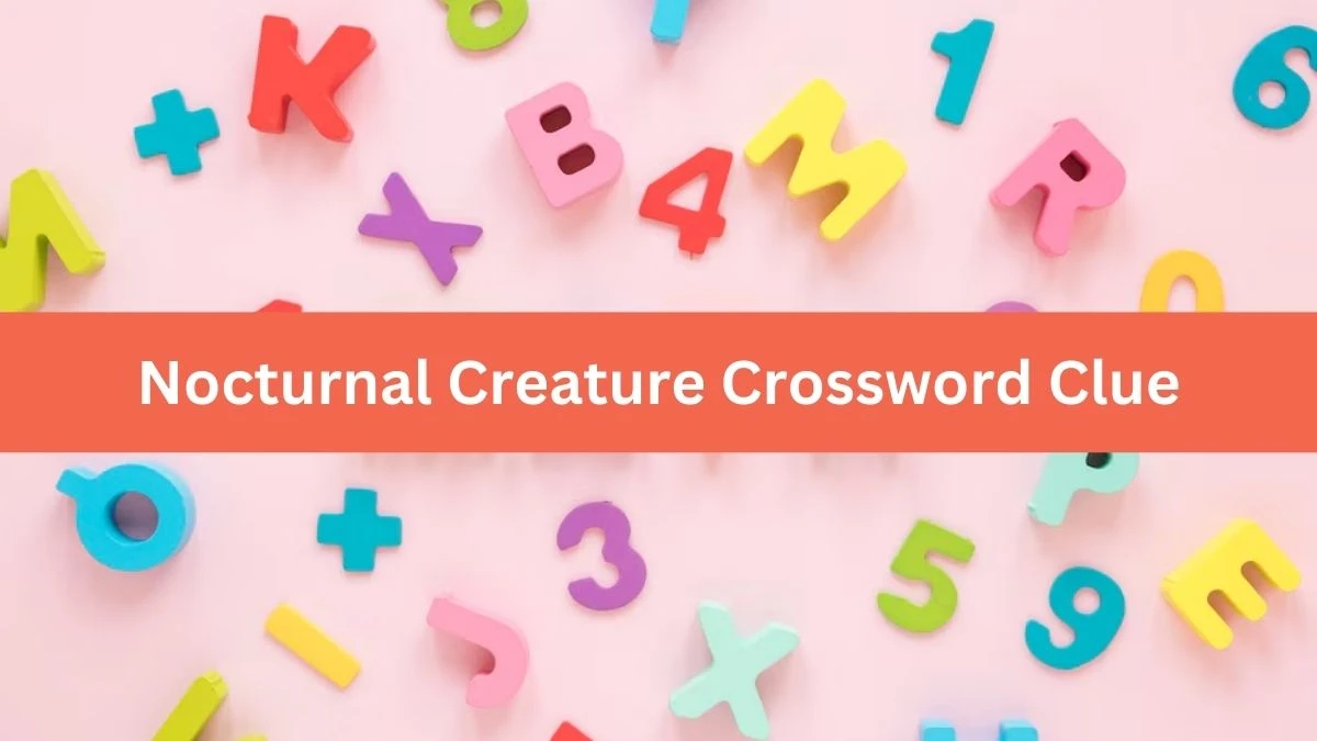 Mirror Quick Nocturnal Creature Crossword Clue Answers with 3 Letters