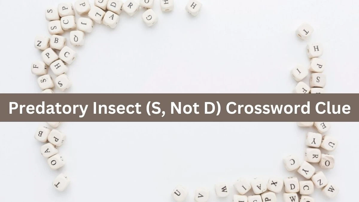 The Times Concise Predatory Insect (S, Not D) Crossword Clue Answers with 6 Letters