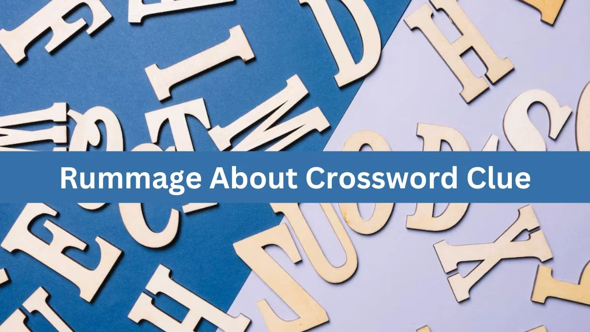 Metro Quick Rummage About Crossword Clue Answers with 6 Letters