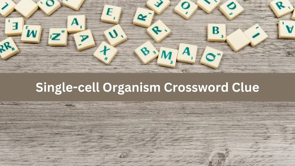 Metro Quick Single-cell Organism Crossword Clue Answers with 6 Letters