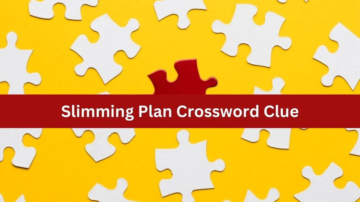 Metro Quick Slimming Plan Crossword Clue Answers with 4 Letters