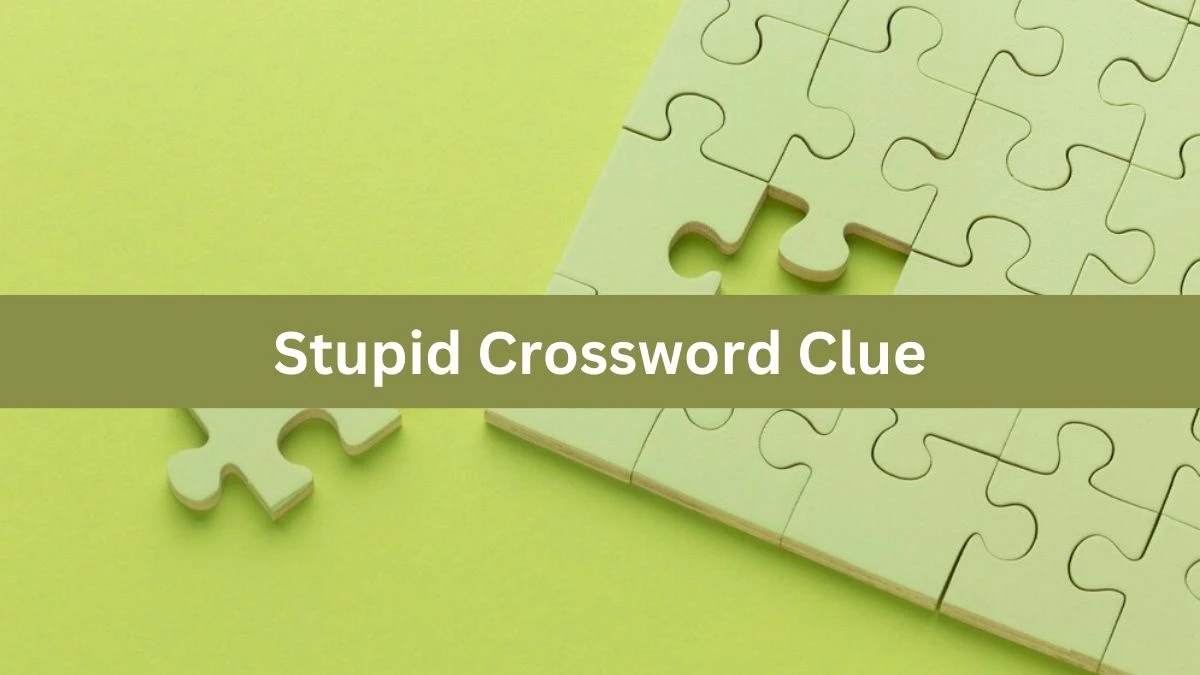 Metro Quick Stupid Crossword Clue Answers with 5 Letters