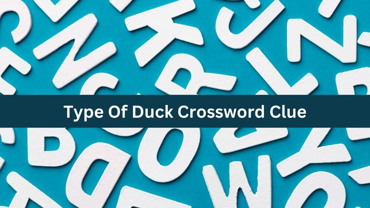 Mirror Quick Type Of Duck Crossword Clue Answers with 5 Letters